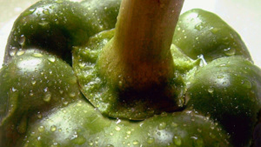 Čobanković na Zelenom tjednu u Berlinu