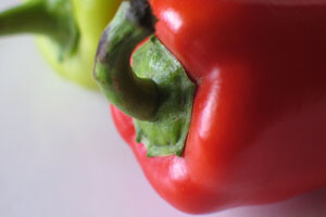 Niču tisuće sadnica loze, paprika, krumpira