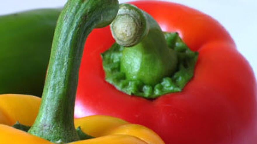 Konferencija "Financiranje ulaganja u prehrambenoj industriji"