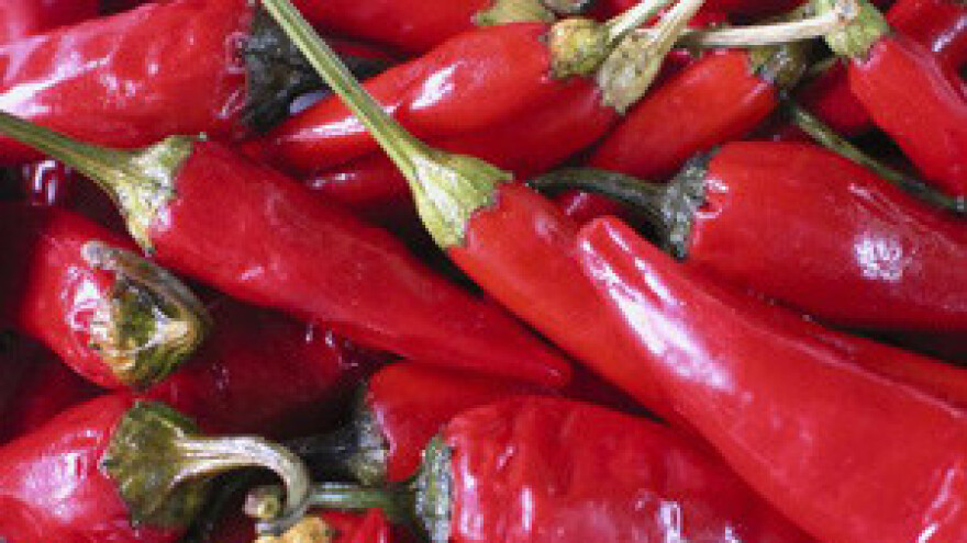 U prošloj godini nastavljen baranjski turistički bum