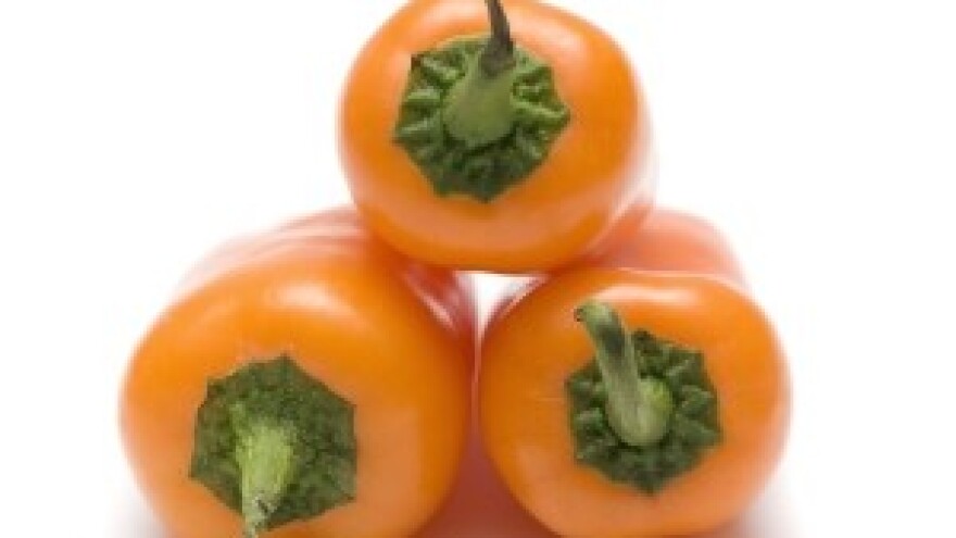 Cijene povrća u veljači na tržnicama