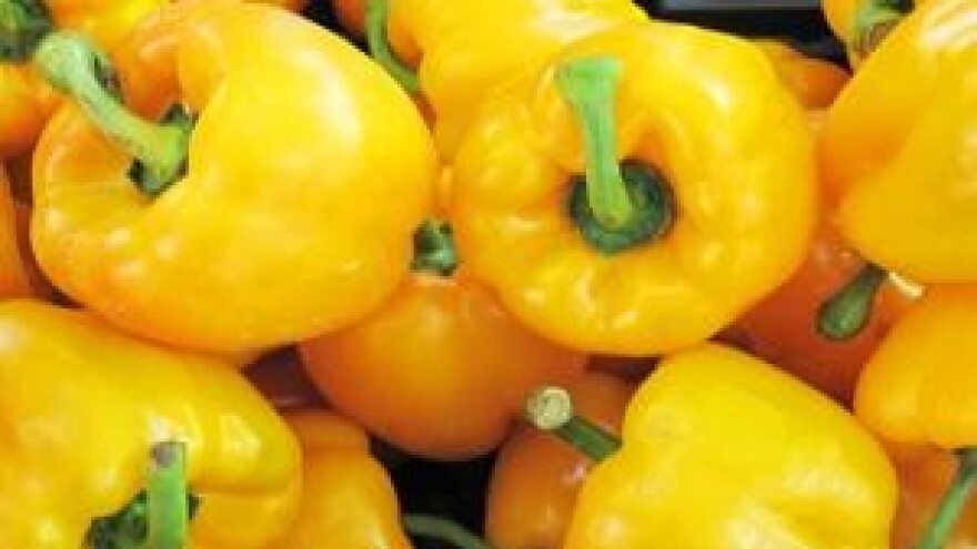 Mjere u zaštiti povrća