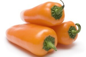 Uzgoj paprika