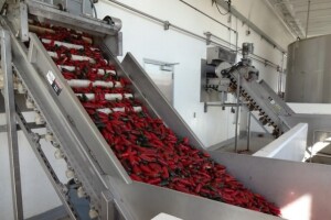 Šaframova paprika zdravstveno ispravna