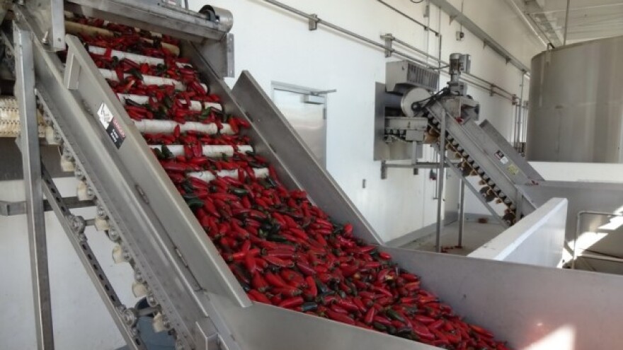 Šaframova paprika zdravstveno ispravna