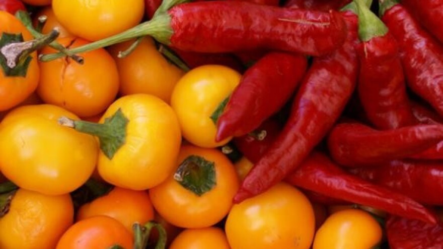 Stručni skup povrćara u Čakovcu