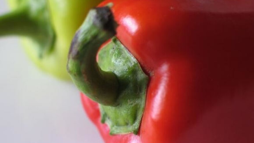 Prva međunarodna izložba paprike