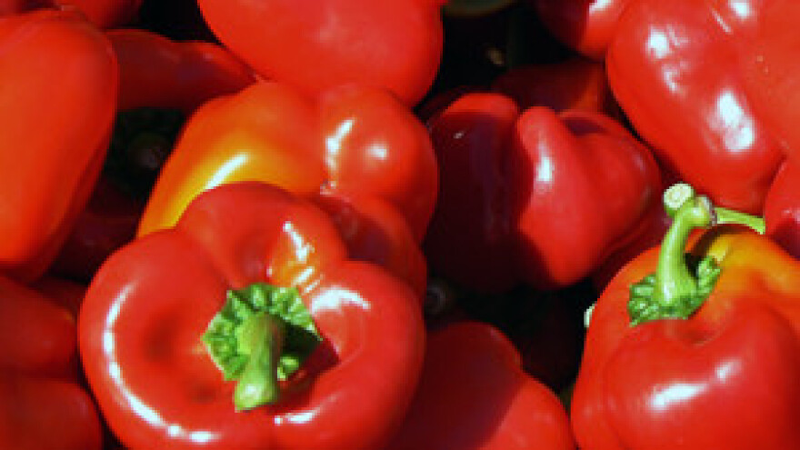 Završena proizvodnja začinske paprike