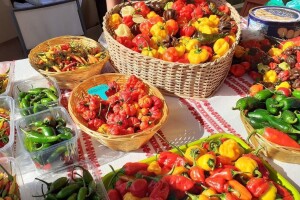 13. Paprikafest u Lugu uz 6. Kup Baranje u kuhanju fiša