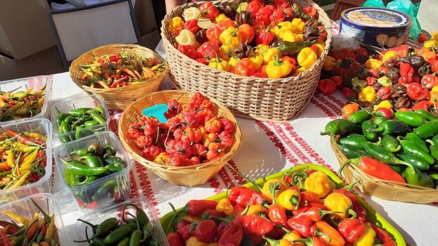 13. Paprikafest u Lugu uz 6. Kup Baranje u kuhanju fiša