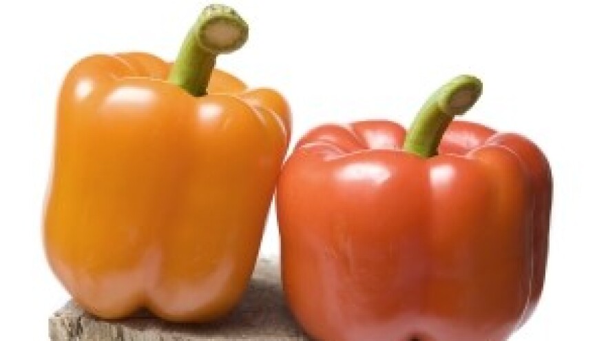Dvadesetak proizvođača uzgajat će certificirane virovitičke paprike