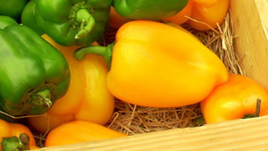 Predavanje o proizvođačkim organizacijama