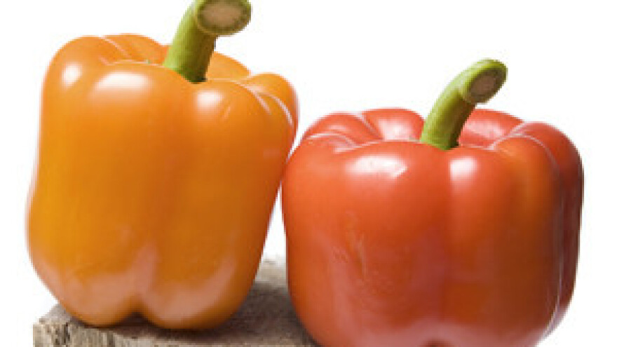 Lista hrane koja podliježe povećanom kontrolom pri uvozu