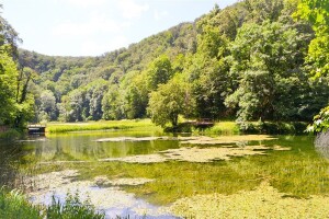 Ciljevi LAG-a Papuk su revitalizacija ruralnog prostora i unapređenje kvalitete života, dobro im ide