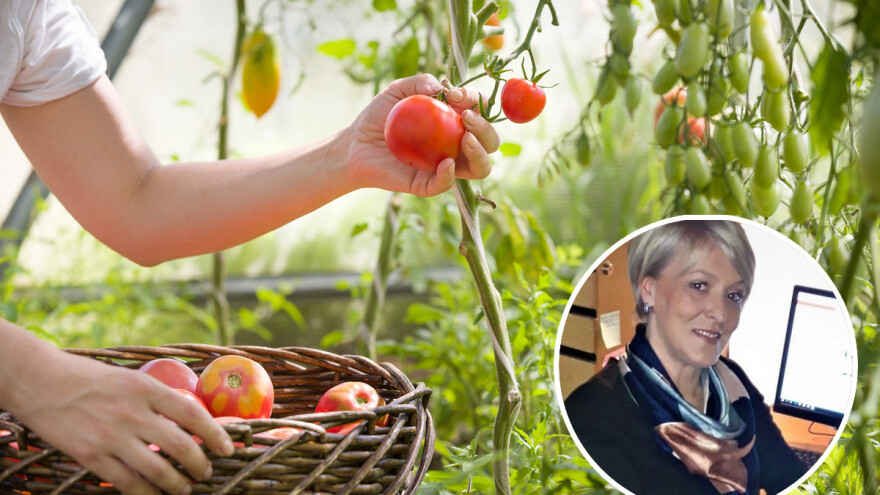 Aleksandra Kravić: Poljoprivrednici, udružite se i uključite žene