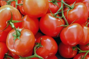 Ljubivoje Živić na pijaci proda i do 600 kilograma paradajza!