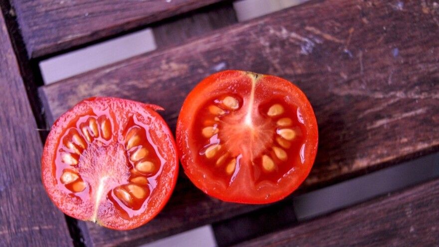 Kako najbolje sačuvati sjeme paradajza?