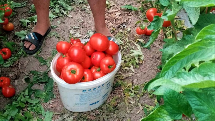 Proizvodi od svega po malo, posla preko cele godine, ali trud se isplati?