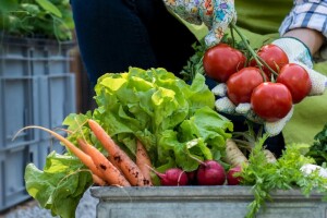 Francuska jedina primjenjuje strategiju "od farme do viljuške" - farmeri zadovoljni
