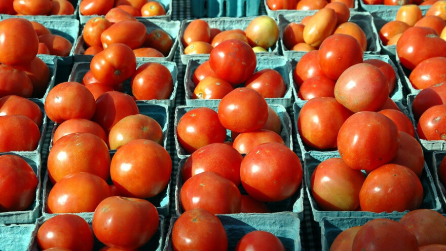 Turski paradajz u Rusiji od 1. decembra