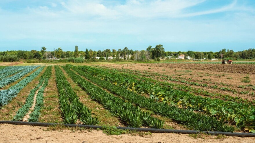 U 7 godina eko površine u EU porasle za 46 posto