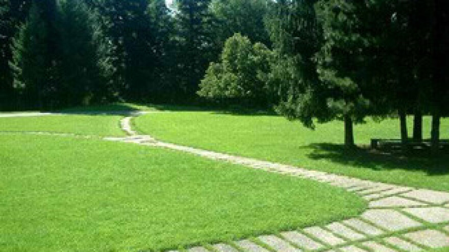 Njega gradskog prostora