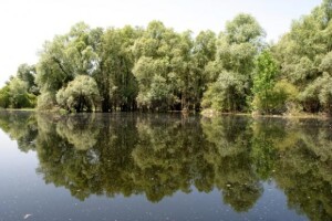 Baranja bilježi više noćenja