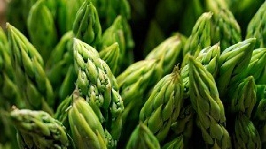 Udruženi u šparogama