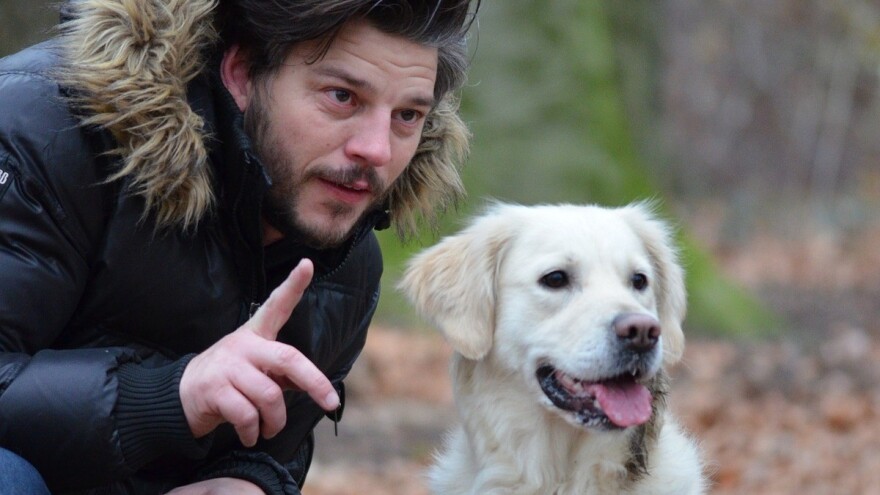 Četiri istine i zablude o njezi i zdravlju pasa