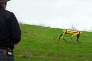 Robotski pas: Nadgleda usjeve i čuva ovce?