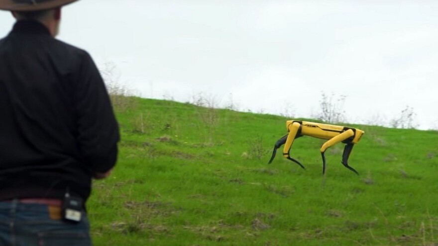 Robotski pas: Nadgleda usjeve i čuva ovce?