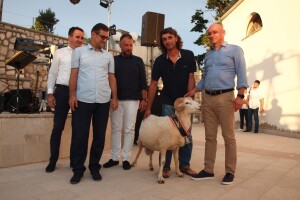 Ovan Đovanija Fabijanića šampion 18. Izložbe paške ovce i paškog sira