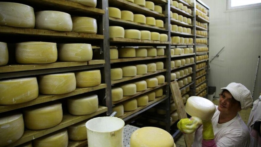 Za pakiranje i preradu sira 360 tisuća kuna