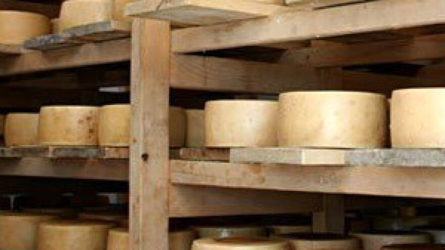 Velika promocija Paškog sira u Americi!