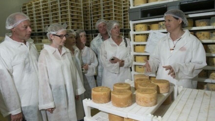 Munjevit rast ruske proizvodnje sira!