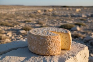 Paški žigljen među 50 najboljih sireva na svijetu