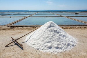 Paškoj soli uskoro i EU »markica«