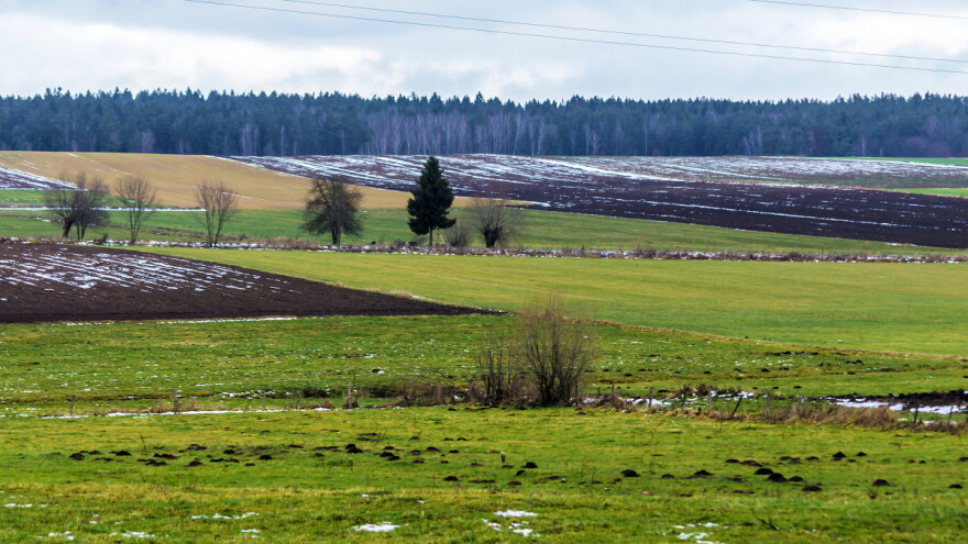 Na prodaju njive i voćnjaci u Donjem Selu