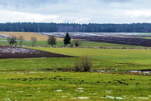 Ugar će prenamijeniti za sjetvu pšenice?  Na potezu je Europska komisija