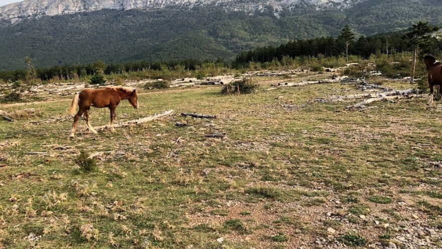 Poljoprivrednim zemljištem i pašnjacima neka upravljaju općine i gradovi?