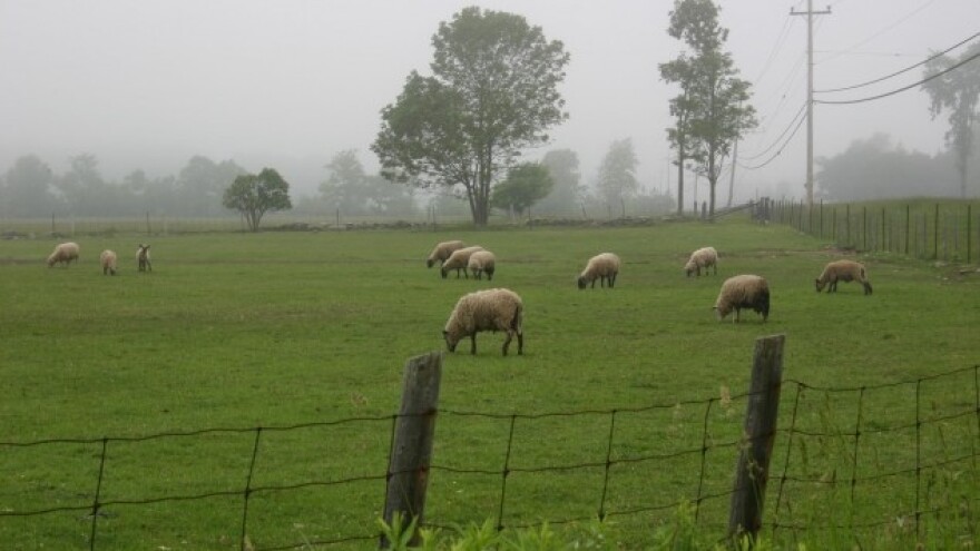 Prodaja pašnjaka u Karlovačkoj županiji
