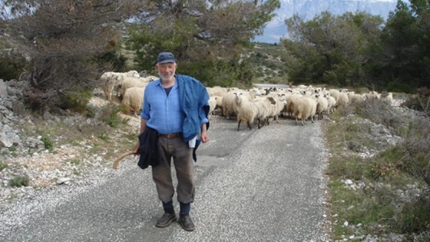 Zlatna karta za korčulansko ulje i pašku janjetinu