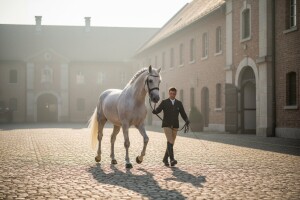 Pastuha za rasplod mora odobriti komisija!