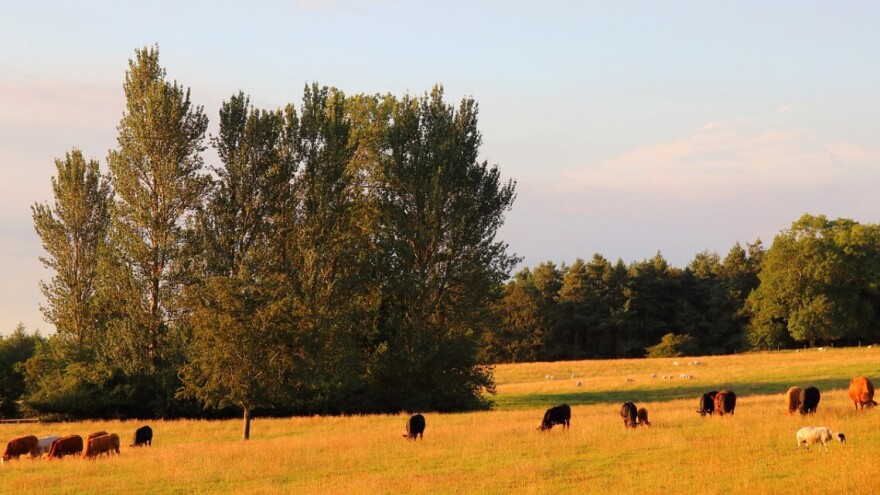 DANH organizira skup o dokumentu Svjetske banke vrijednom 2,5 milijuna eura
