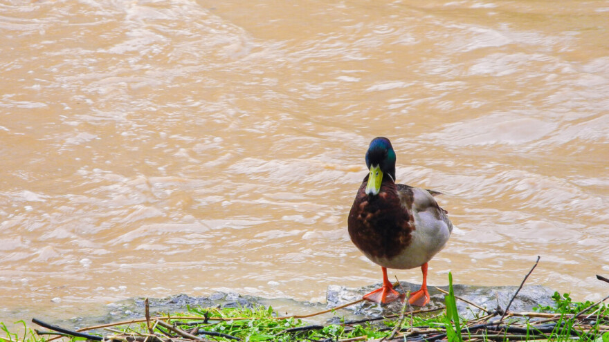 Objavljena srednjoročna prognoza: Do kada će biti nestabilno?