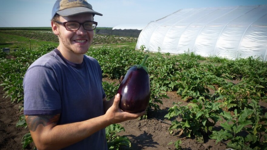 Patlidžana nema ni za lijek?