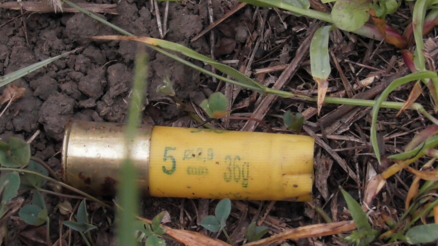 Korištenje ili nošenje olovne sačme u močvarnim područjima EU postalo strogo kažnjivo