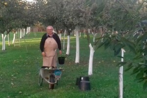 U deset godina spasili od izumiranja 1.400 sorti starih voćaka