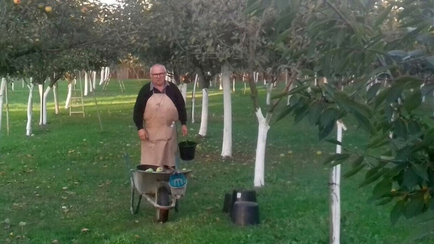 U deset godina spasili od izumiranja 1.400 sorti starih voćaka