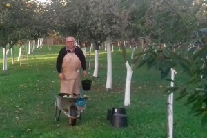 U deset godina spasili od izumiranja 1.400 sorti starih voćaka